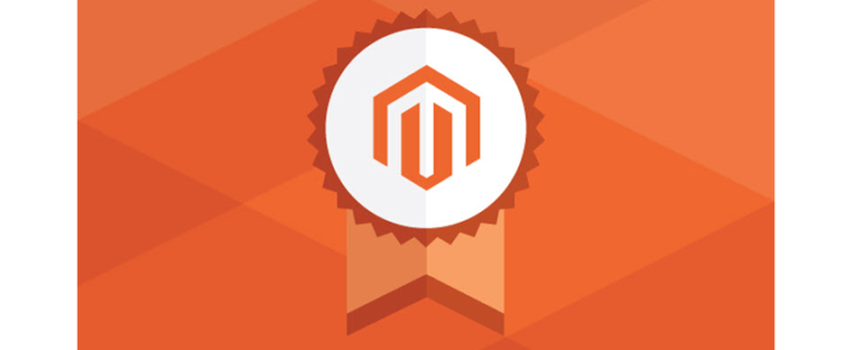 Magento Partner Audit