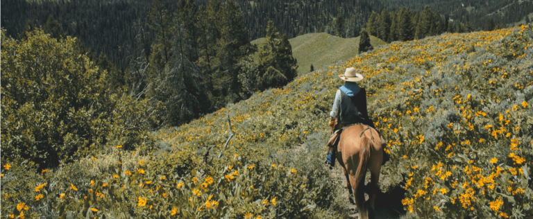 man on horseback